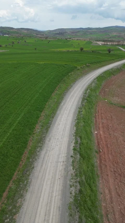 Green_fields_with a drone. Vertical screen_Fields turning green in spring. Stockbeeldmateriaal 334648280