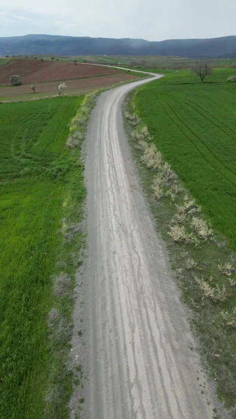 Green_fields_with a drone. Vertical screen_Fields turning green in spring. Stockbeeldmateriaal 334648294