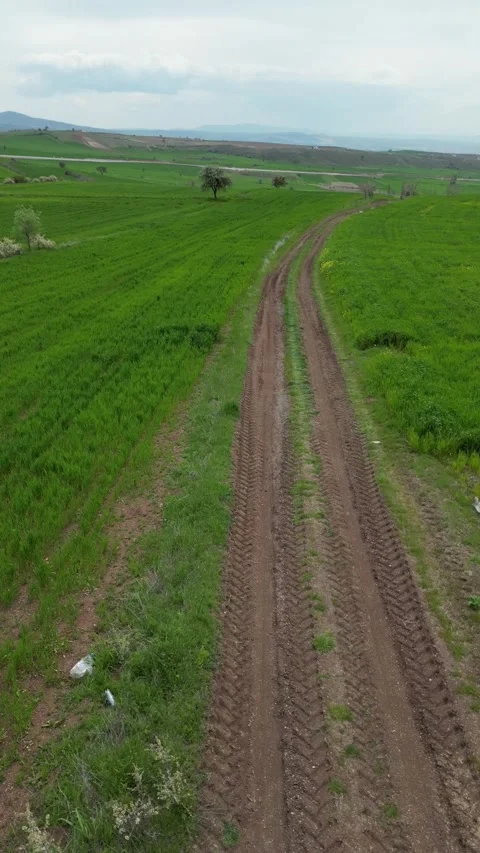 Green_fields_with a drone. Vertical screen_Fields turning green in spring. 스톡 동영상 334648306
