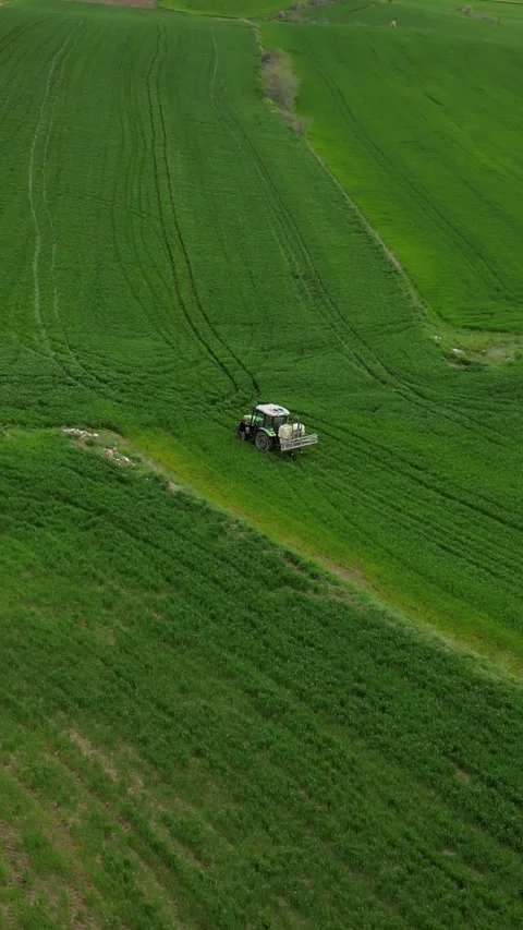 Green_fields_with a drone. Vertical screen_Fields turning green in spring. Stockbeeldmateriaal 334648312