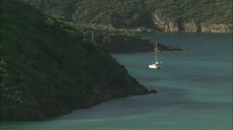 Greene hd guana Stock Footage 22643239