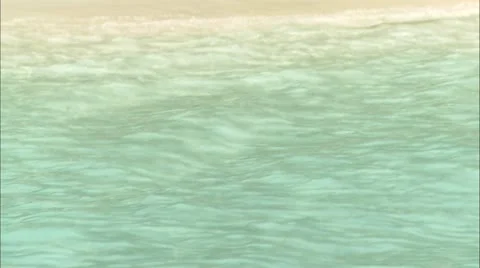 Greene hd guana Stock Footage 22667920