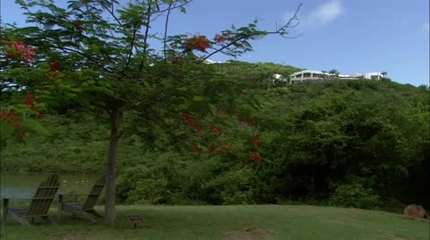 Greene hd Guana Stock Footage 22667997