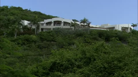 Greene hd Guana Stock Footage 22668121