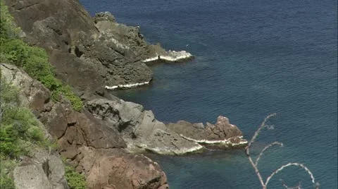 Greene hd guana10 Stock Footage 22643298