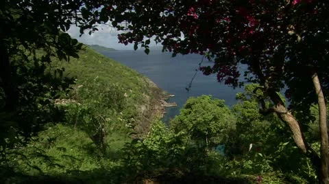 Greene hd guana11 Stock Footage 22643306