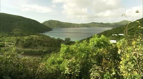 Greene hd guana2 Stock Footage 22643507