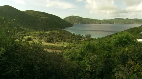 Greene hd guana4 Stock Footage 22643601