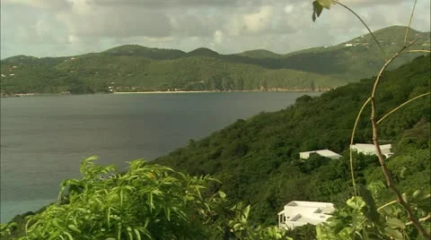 Greene hd guana5 Video stock 22643667