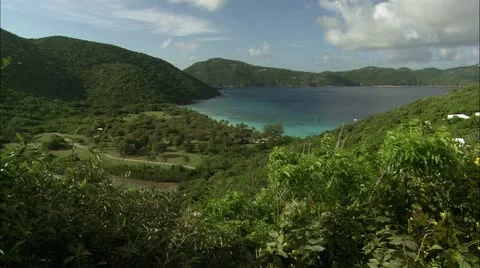 Greene hd guana7 Stock Footage 22643856