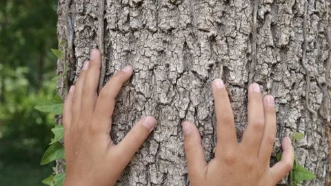 A greener future for children. Stock Footage 231927437
