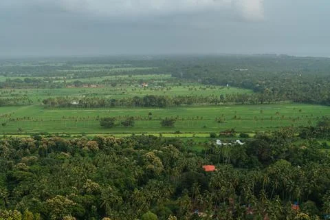 Greenery all around Stock Photos