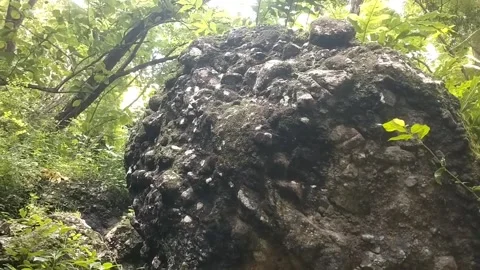 Greenery Among the Rocks Stock Footage 329241560