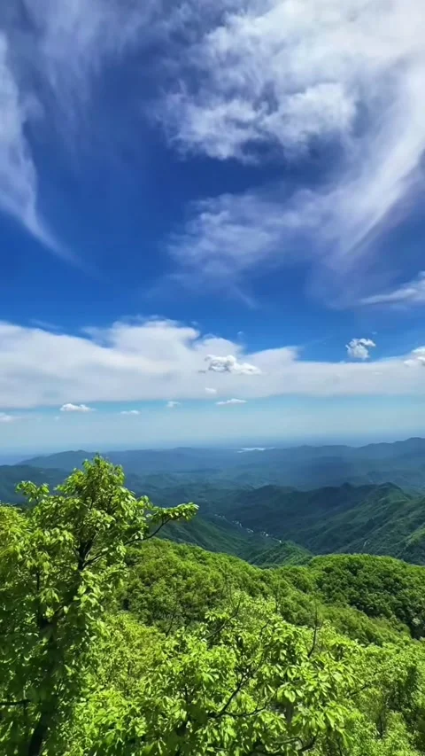 Greenery and nature 库存影片 335323496