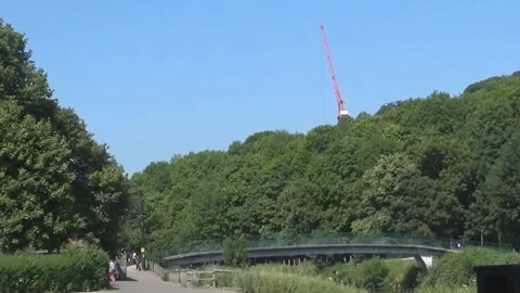 Greenery and trees Stock-Footage 94924977