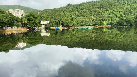 Greenery being reflected on water Stock Footage 135752863