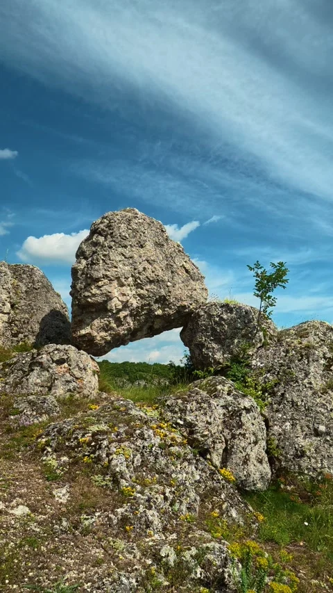 Greenery blankets the base of ancient stone. Vrmdza Lake, Serbia. Vertical Stock Footage 338030357