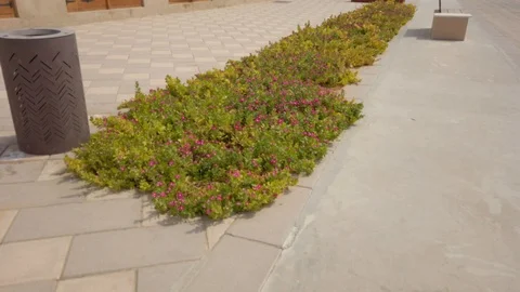 GREENERY IN THE CENTRE OF FOOTPATH Video stock 122056325