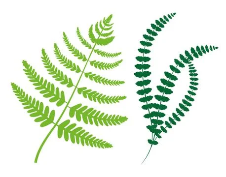 Greenery Collection Leaves Vector Illustration Stock Illustration