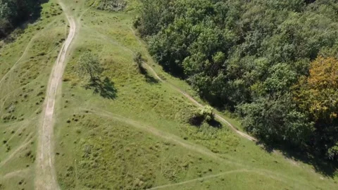 Greenery Drone Summer 4k Stock Footage 160398321