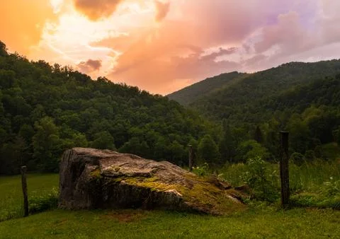 Greenery field surrounded by dense trees at sunset Stock Photos