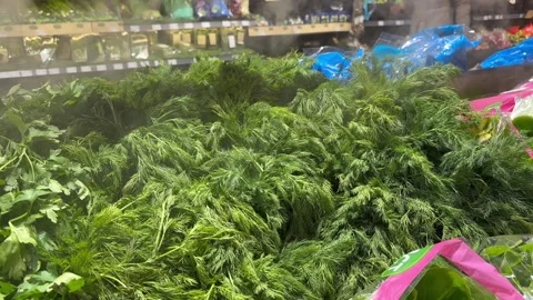 Greenery Stock Footage 262373123