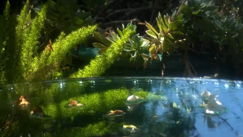 GREENERY Stock Footage 306621933