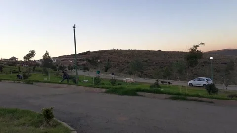 Greenery garden Stock Footage 130345959