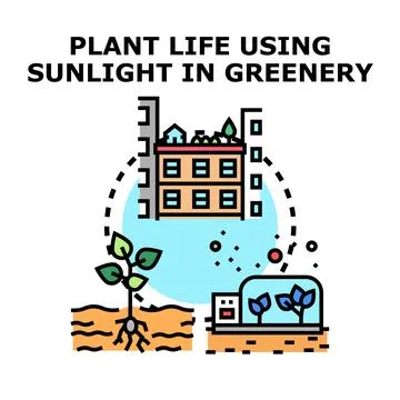 Greenery growing using sunlight in urban environment Ilustración de archivo