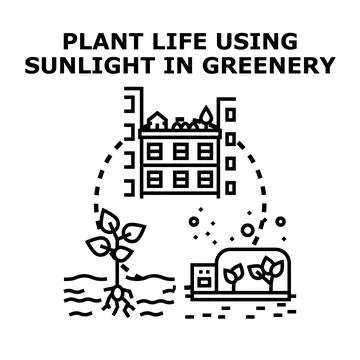 Greenery growing using sunlight in urban environment Ilustración de archivo