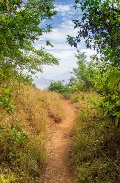 Greenery hill station Stock Photos