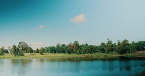 Greenery By The Lake Stock Footage 320356097