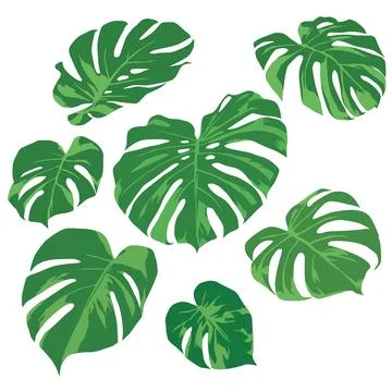 Greenery Leaves Illustrazione stock