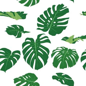 Greenery Leaves Pattern on illustration graphic vector Illustrazione stock