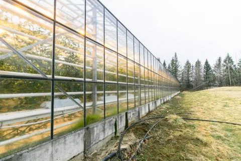 Greenery with many windows Stock Photos