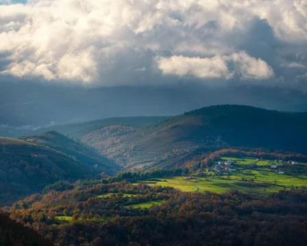 The greenery of the meadows between deciduous forests on a cloudy and rainy a Stock Photos