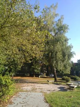 Greenery 库存照片