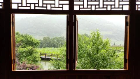 Greenery seen  through the windows Stock Photos