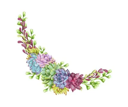 Greenery, succulent and branches frame border on white background. Beautiful Stock Illustration