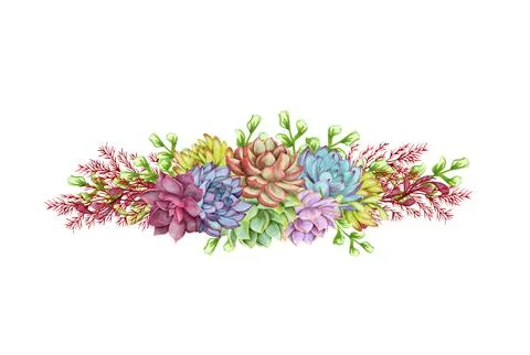 Greenery, succulent and branches frame border on white background. Beautiful Stock Illustration