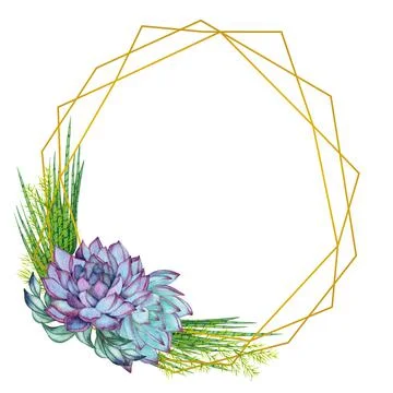 Greenery, succulent and branches frame border on white background. Beautiful Stock Illustration