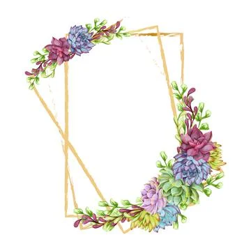 Greenery, succulent and branches frame border on white background. Beautiful Stock Illustration