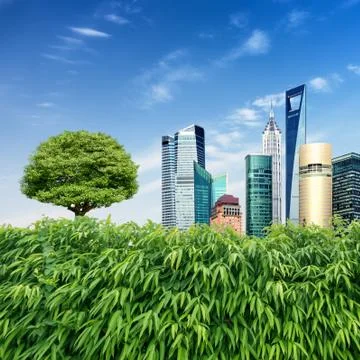 Greenery surrounded by skyscrapers Stock Photos