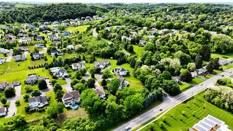 Greenery - Syracuse, NY Photos