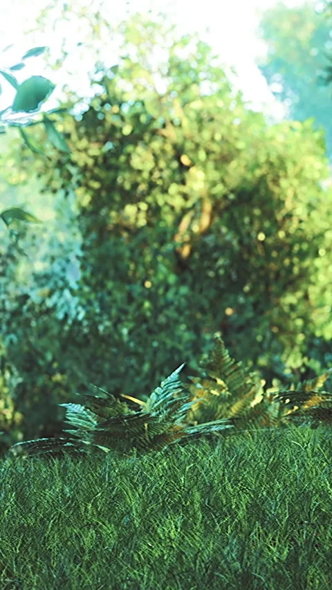 Greenery thrives under soft sunlight in a serene natural landscape Vídeos de archivo 320302991