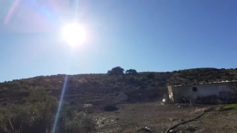 Greenery of Tlemcen Algeria Stock Footage 130360687