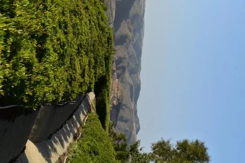 Greenery With Tree and Mountain 스톡 사진
