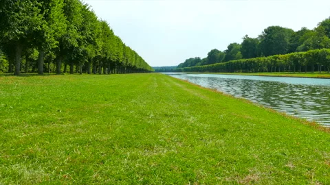 The Greenery of the Tree-Lined Path and the Waterside Meadow Видео 330636047