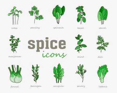 Greenery vector icon set. Vegetable green leaves Stock Illustration