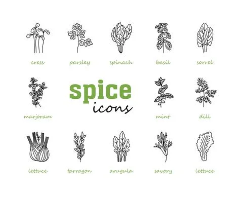 Greenery vector icon set. Vegetable green leaves Stock Illustration